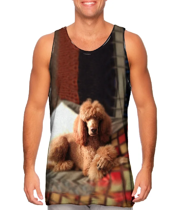 Wool Vests for Cozy Fall Style-Sophisticated Poodle